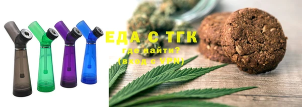 индика Касимов