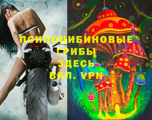 индика Касимов