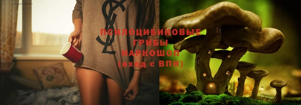 индика Касимов