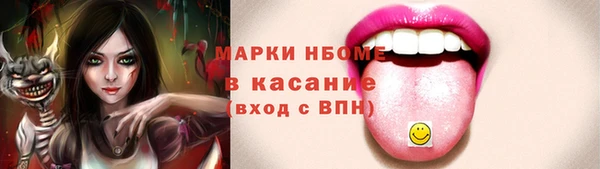 индика Касимов