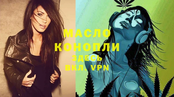 индика Касимов