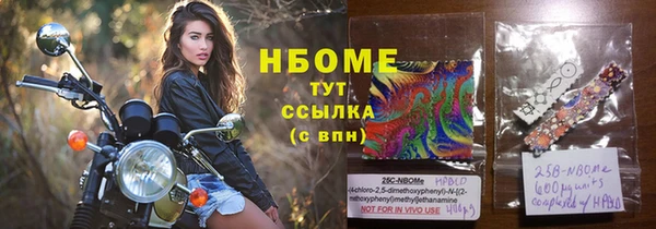 индика Касимов