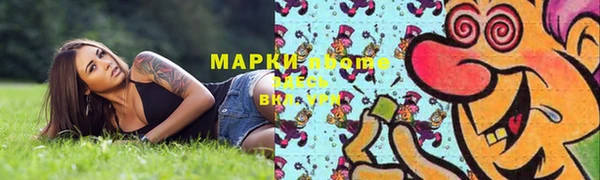 индика Касимов