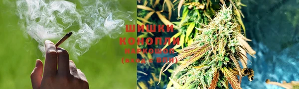 индика Касимов