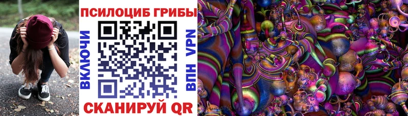 Галлюциногенные грибы GOLDEN TEACHER  Купить где  Перевоз 